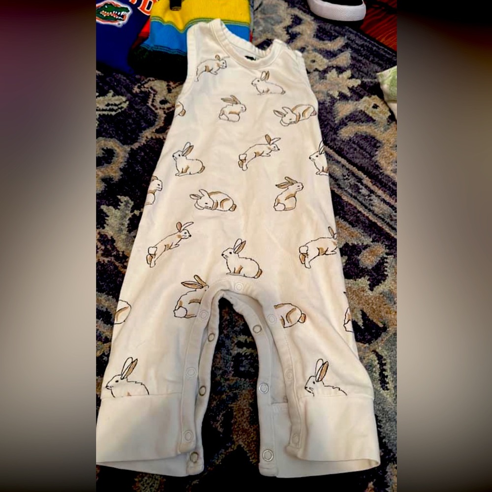 Monica and Andy overalls, 0-3 months, excellent condition